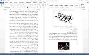 اجتماعی